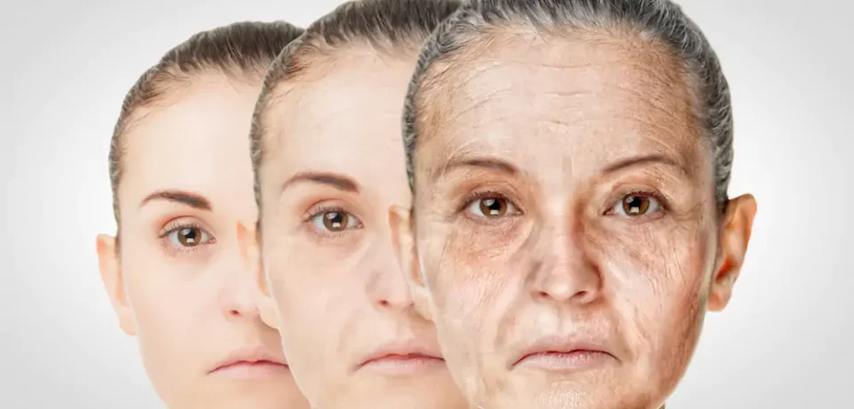 peleenvelhecimento peleenvelhecimento